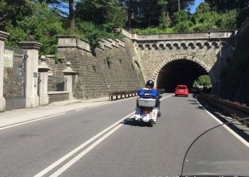 phoca thumb l img large