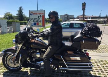 phoca thumb l img large