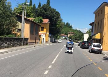 phoca thumb l img large