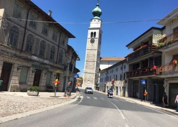 phoca thumb l img large