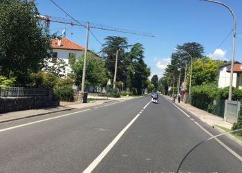 phoca thumb l img large