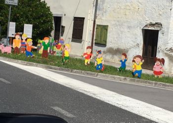 phoca thumb l img large