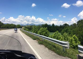 phoca thumb l img large