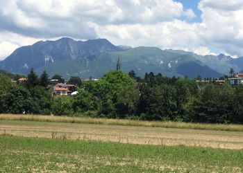 phoca thumb l img736 large