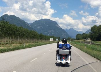 phoca thumb l img large