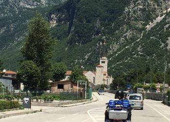 phoca thumb l img large