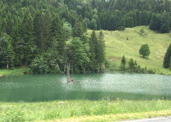 phoca thumb l img large