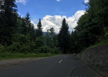 phoca thumb l img large