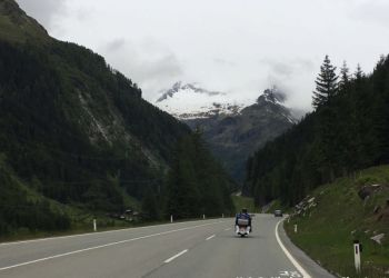 phoca thumb l img large