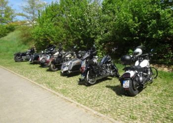 phoca thumb l dsc00487 gro