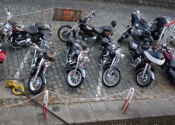 phoca thumb l dsc04359 large