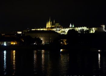 phoca thumb l dsc04449 large