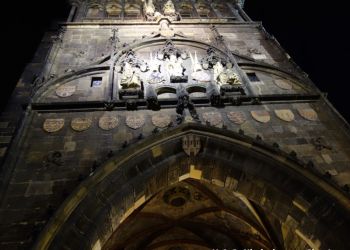 phoca thumb l dsc04469 large