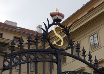 phoca thumb l dsc04495 large