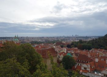 phoca thumb l dsc04502 large