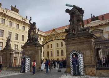 phoca thumb l dsc04505 large