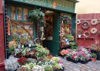 phoca thumb l dsc04581 large