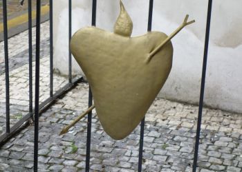 phoca thumb l dsc04628 large