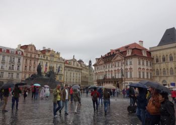 phoca thumb l dsc04690 large