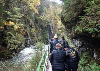 phoca thumb l dsc06749 large