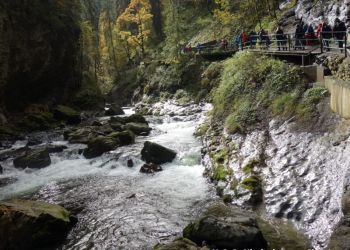 phoca thumb l dsc06759 large