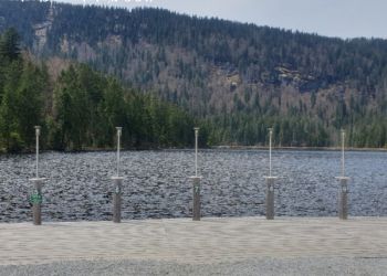 phoca thumb l 20230501