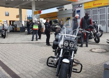 phoca thumb l 20230501