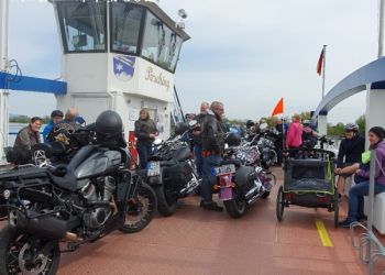 phoca thumb l 20230501