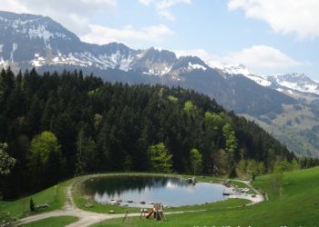 phoca thumb l dsc00231 mittel