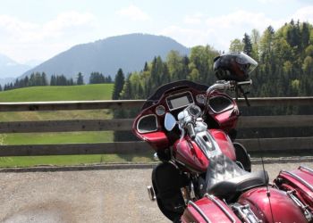 phoca thumb l img mittel