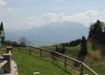 phoca thumb l img mittel