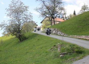 phoca thumb l img mittel