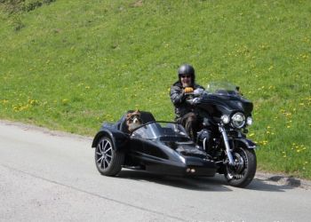 phoca thumb l img mittel