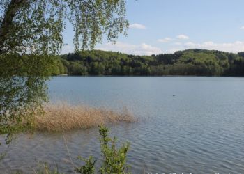 phoca thumb l img mittel