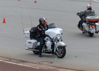 phoca thumb l p1100744 large