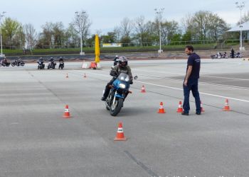 phoca thumb l p1100751 large