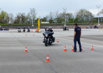 phoca thumb l p1100752 large