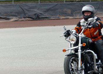 phoca thumb l p1100754 large