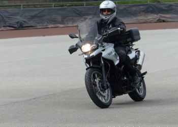 phoca thumb l p1100757 large