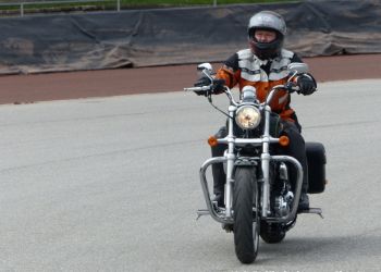 phoca thumb l p1100761 large