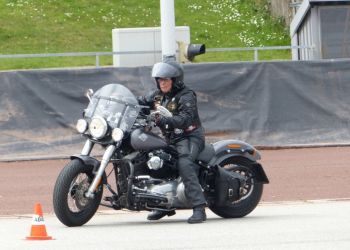 phoca thumb l p1100764 large