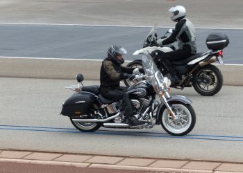 phoca thumb l p1100782 large