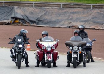 phoca thumb l p1100799 large