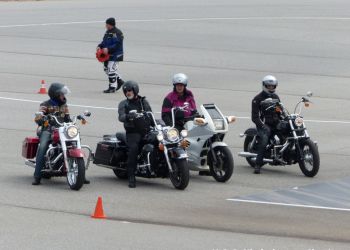 phoca thumb l p1100804 large