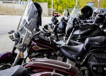 phoca thumb l 2019 05   verkehrswacht   peppup   up195458 mittel