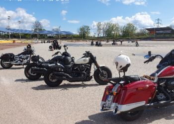 phoca thumb l 20230429