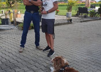 whatsapp bild 2024 07 20 um.20.01 c100114b