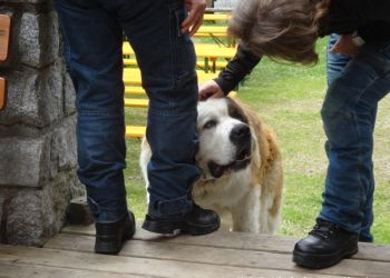 phoca thumb l dsc08203