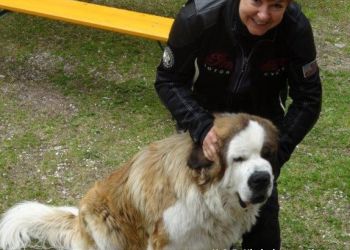 phoca thumb l dsc08205