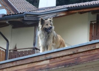 phoca thumb l dsc08359